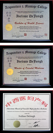 Ivelisse DeJongh - Diplomas Specializing in Fertility and Prenatal Care